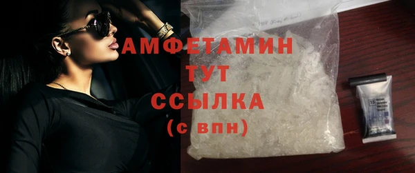 ГАЛЛЮЦИНОГЕННЫЕ ГРИБЫ Балахна