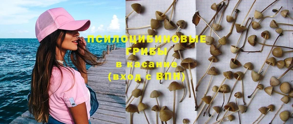 spice Баксан