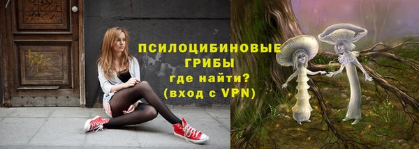 spice Баксан